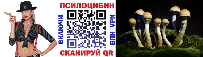 Галлюциногенные грибы ЛСД  купить наркоту  Полярные Зори 